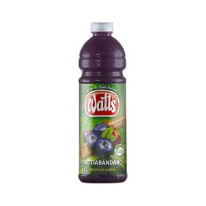 Watts Arandano 1.5lt